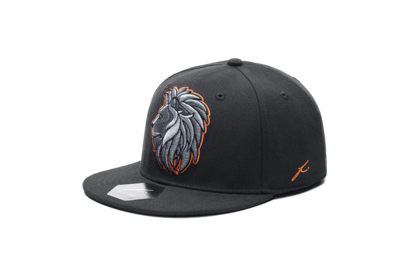 Niederlande-Maskottchen-Snapback-Hut