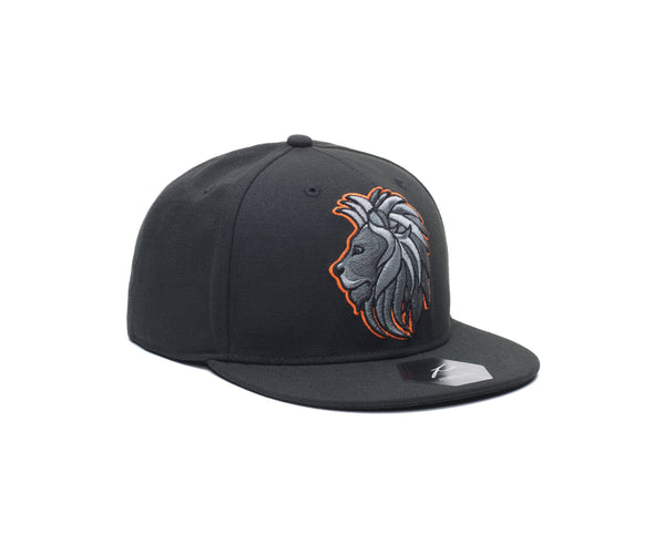 Niederlande-Maskottchen-Snapback-Hut